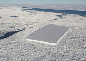 Antarctic Sea Ice Hits Record Low