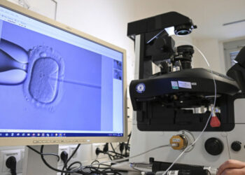 Berlin: In the cell laboratory at the Fertility Center Berlin, an electron microscope is used to fertilize an egg cell.