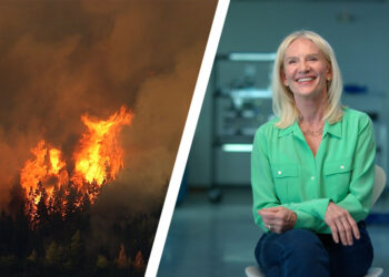 Detecting Wildfires in Real Time with Google's AI Satellites