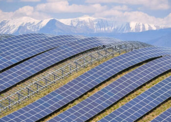 The Future of Renewable Energy