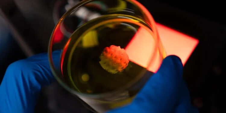 New 3D Bioprinter Creates Human Tissue in Seconds