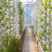 Vertical Farming Giant Plenty Billion-Dollar Bust