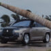 BYD Dropped a Tree on Their Car as a Flex